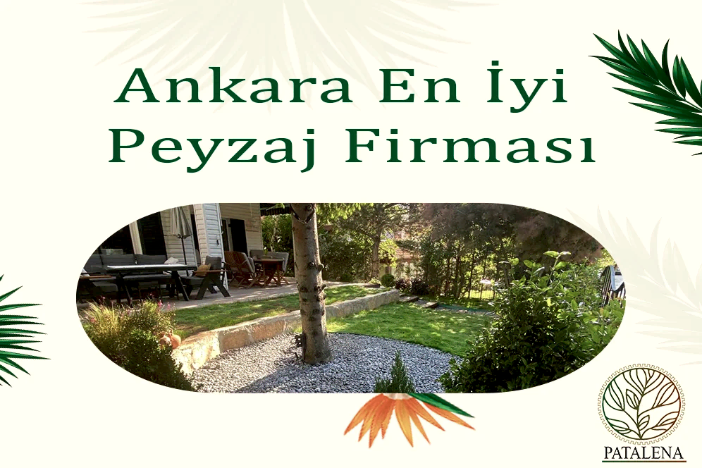 Ankara En İyi Peyzaj Firması
