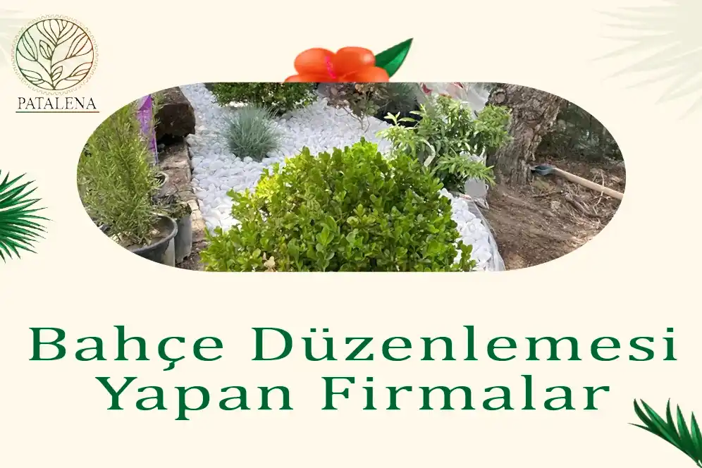 Bahçe Düzenlemesi Yapan Firmalar