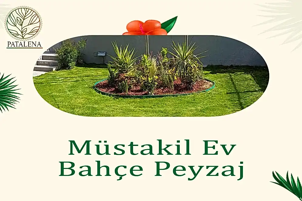 Müstakil Ev Bahçe Peyzaj