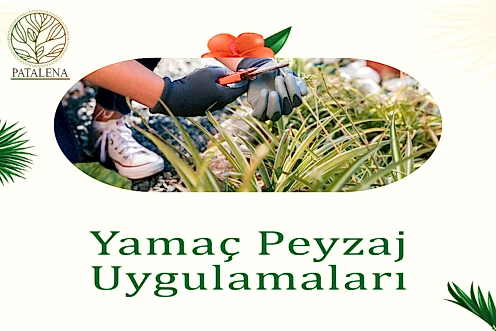 Yamaç Peyzaj Uygulamaları