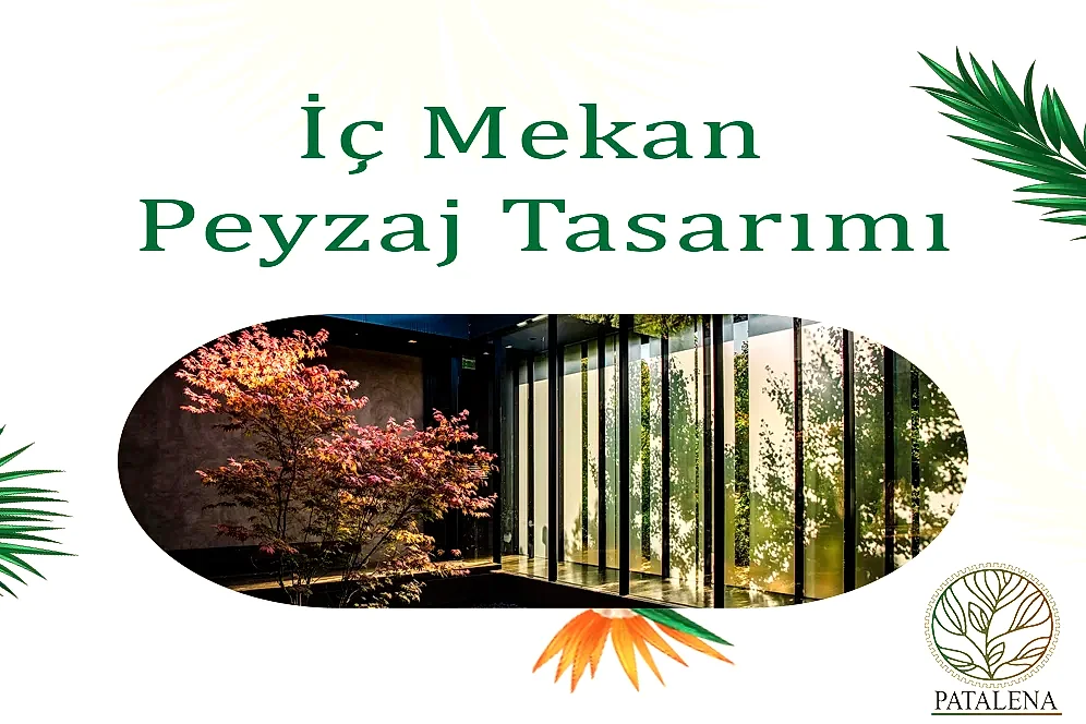 İç Mekan Peyzaj Tasarımı