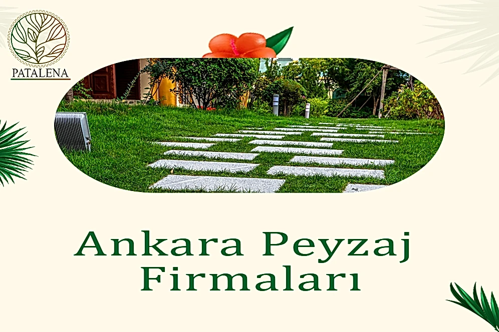 Ankara Peyzaj Firmaları